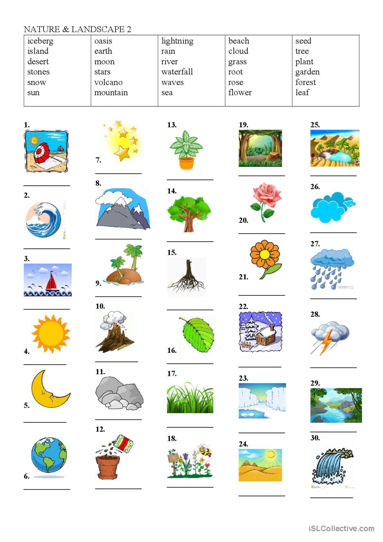 Get 85 Summer Nature Worksheet Ideas 21