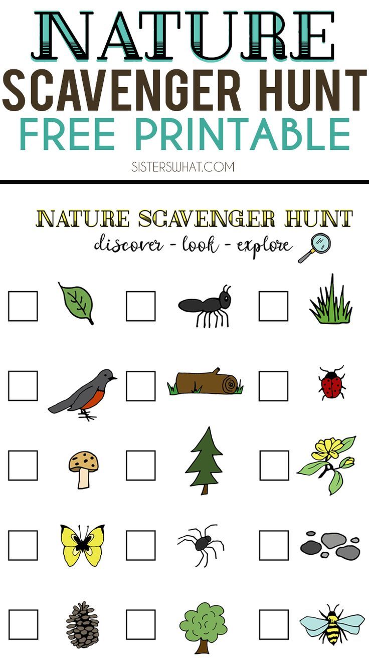 Get 85 Summer Nature Worksheet Ideas 26