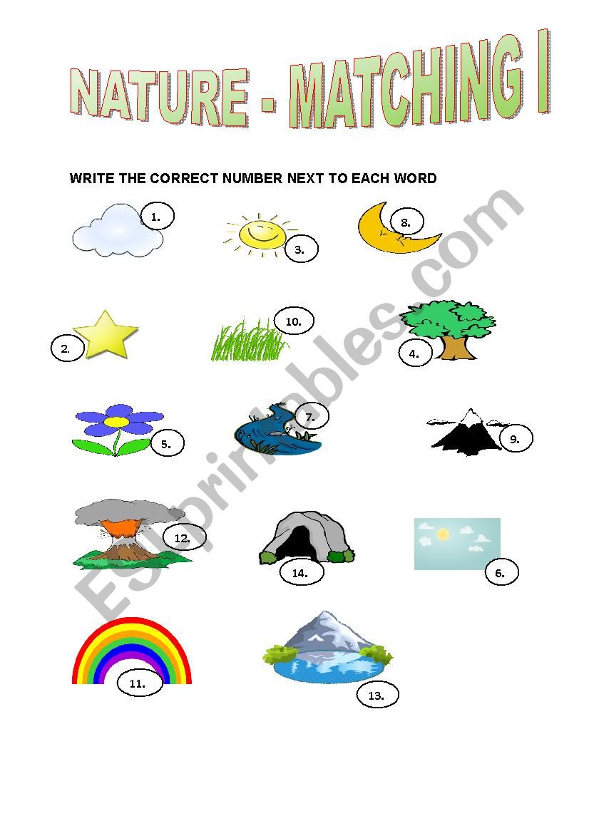 Get 85 Summer Nature Worksheet Ideas 27