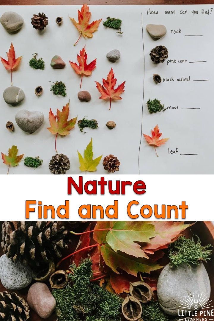 Get 85 Summer Nature Worksheet Ideas 29