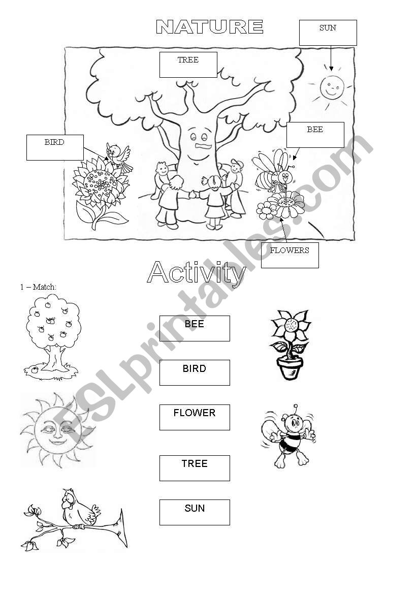 Get 85 Summer Nature Worksheet Ideas 31