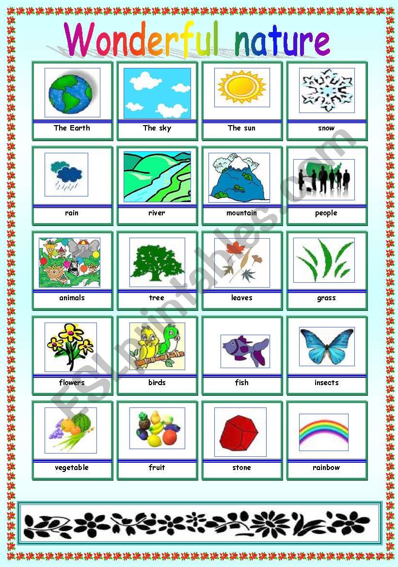 Get 85 Summer Nature Worksheet Ideas 33