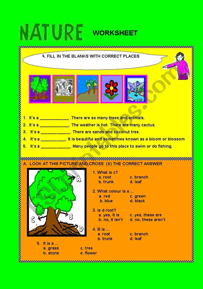 Get 85 Summer Nature Worksheet Ideas 43