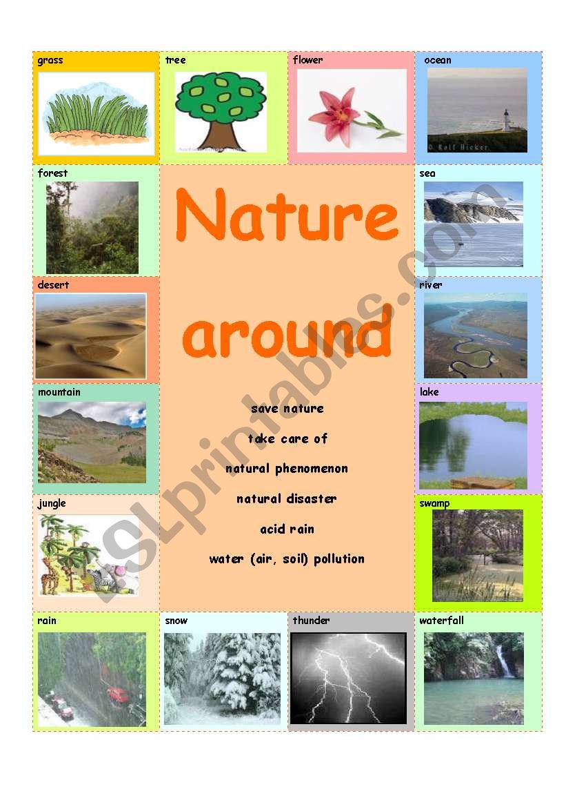 Get 85 Summer Nature Worksheet Ideas 50