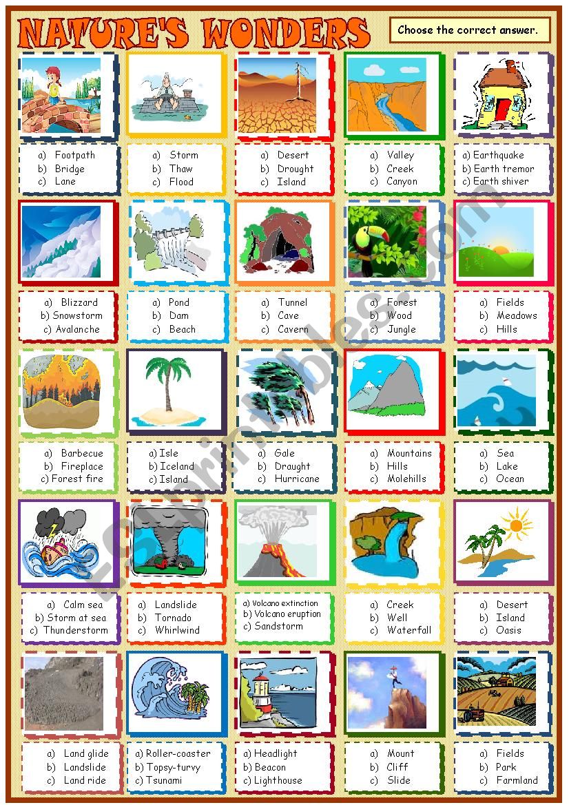 Get 85 Summer Nature Worksheet Ideas 53