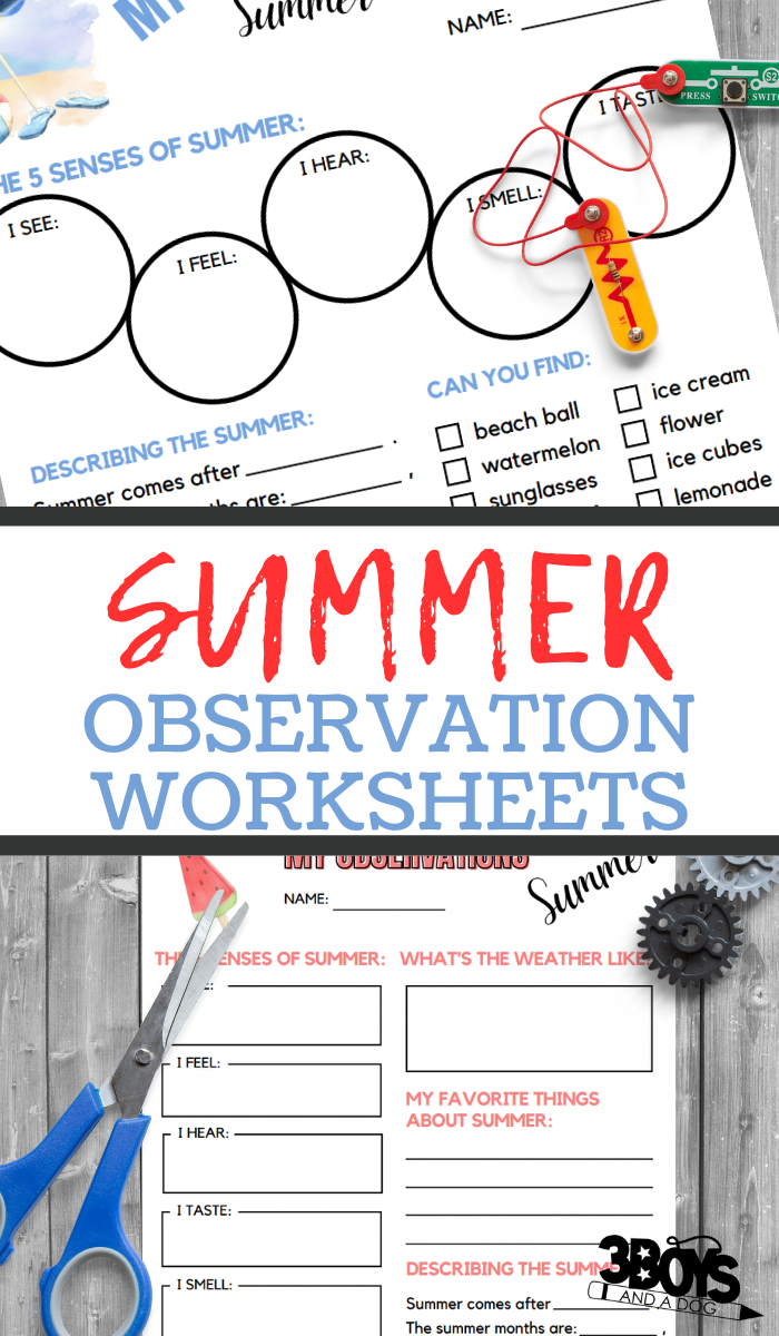 Get 85 Summer Observation Worksheet Ideas 1