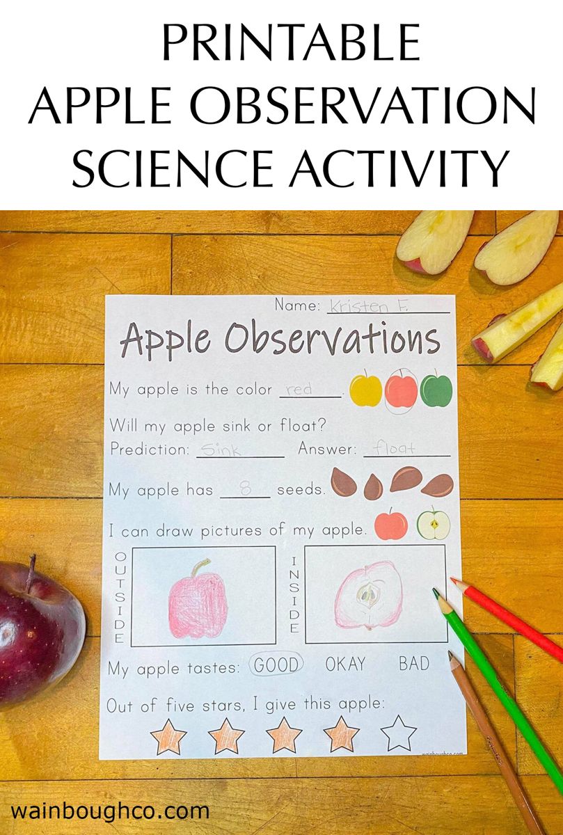 Get 85 Summer Observation Worksheet Ideas 15