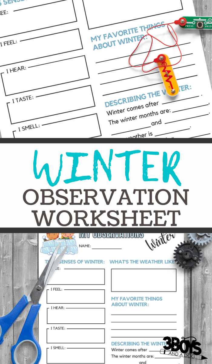 Get 85 Summer Observation Worksheet Ideas 43