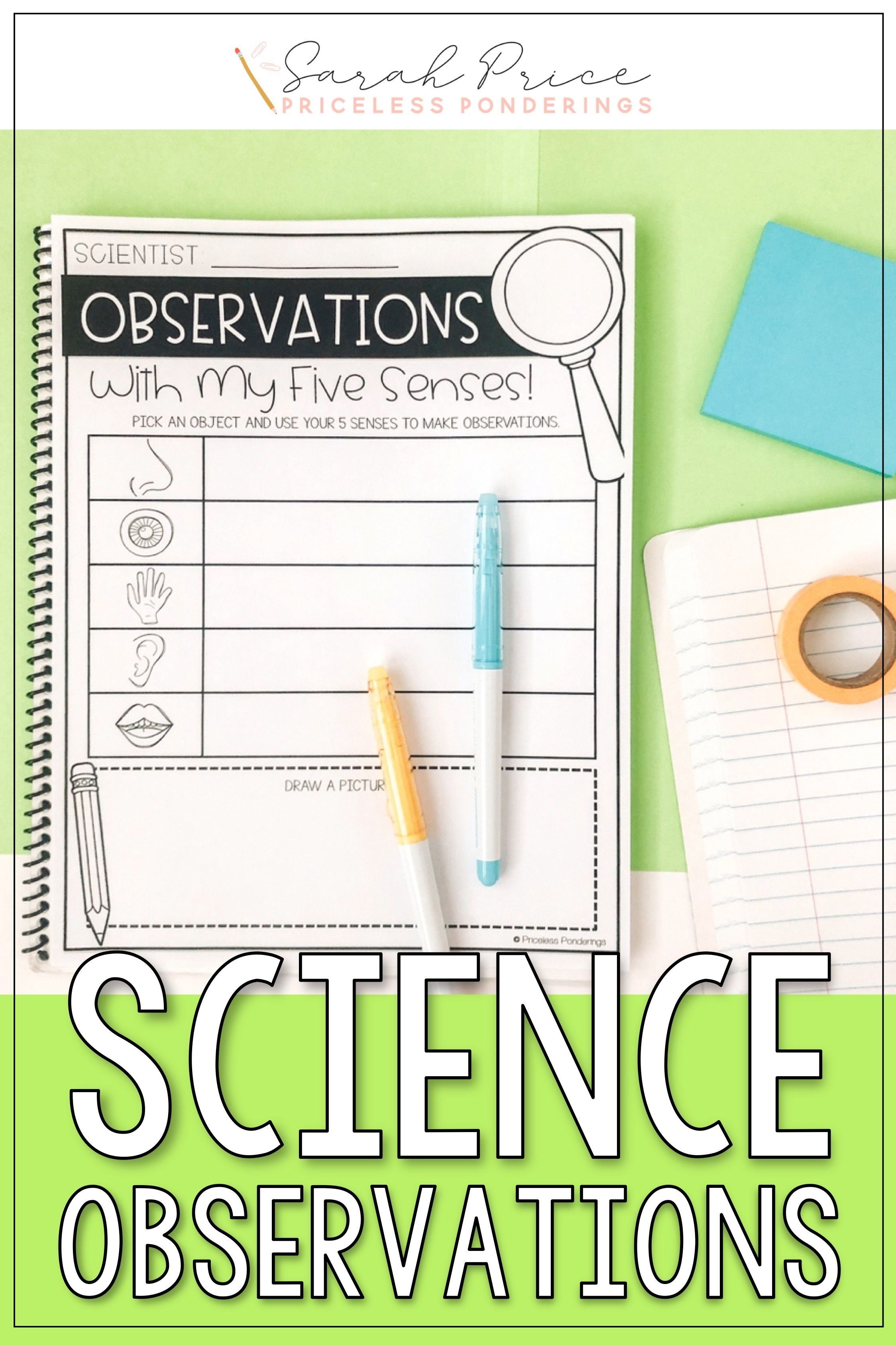 Get 85 Summer Observation Worksheet Ideas 56