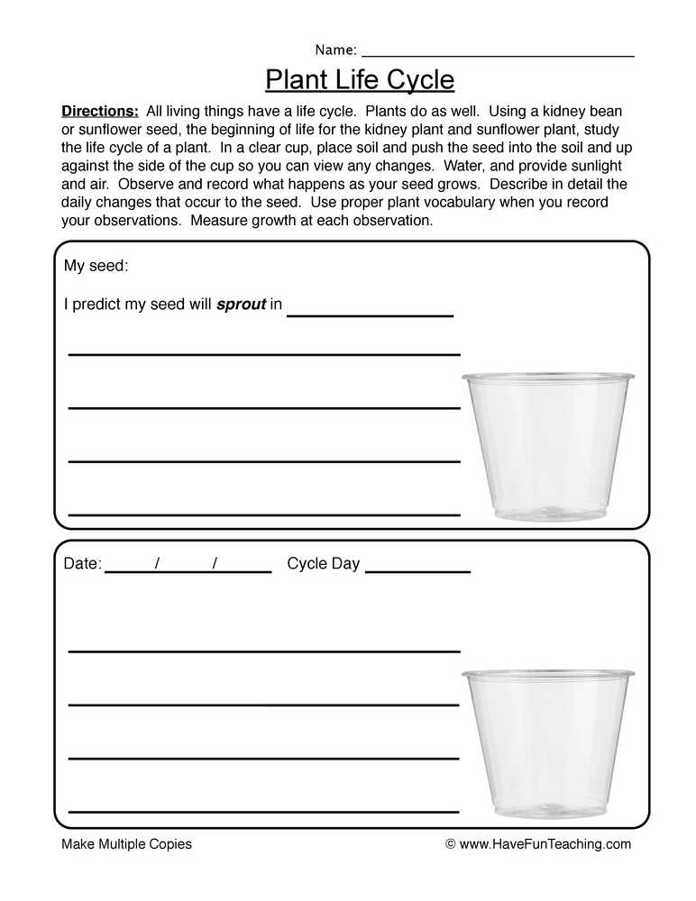 Get 85 Summer Observation Worksheet Ideas 70