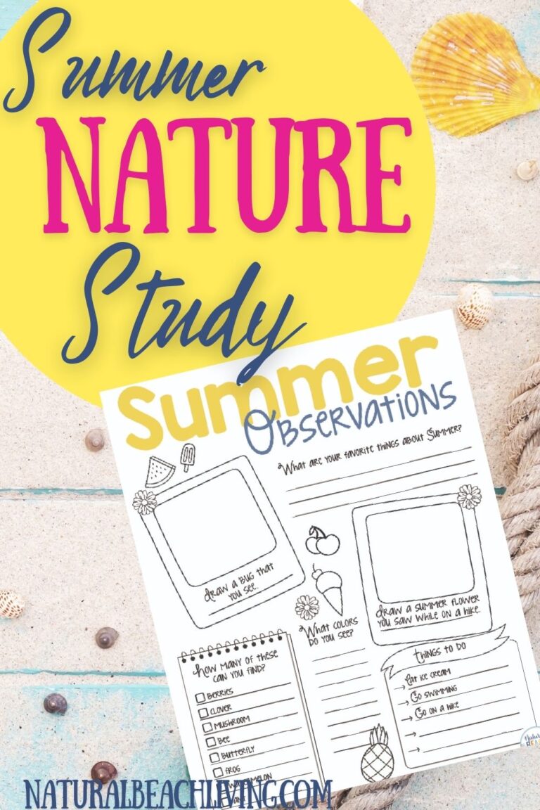 Get 85 Summer Observation Worksheet Ideas 75