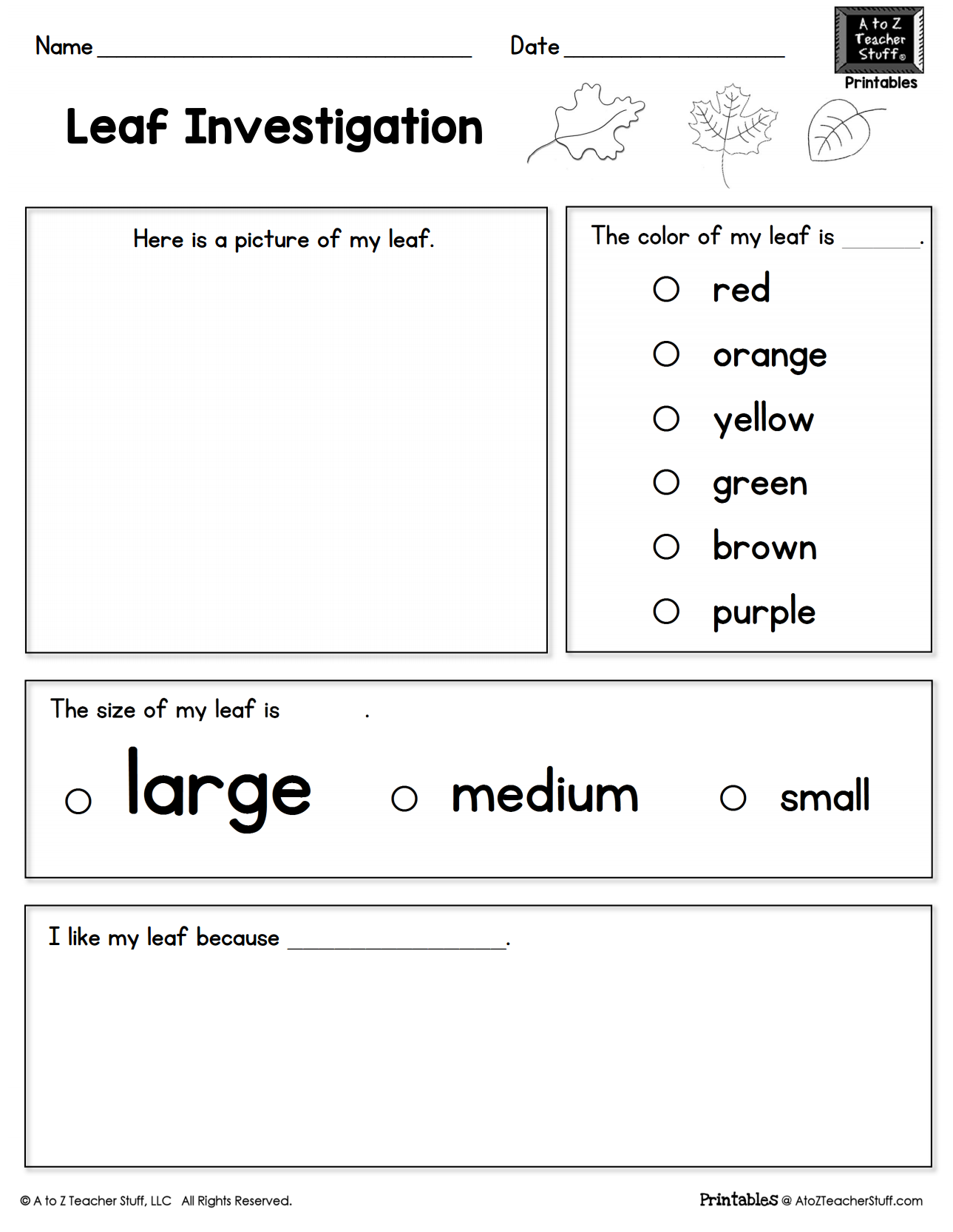 Get 85 Summer Observation Worksheet Ideas 78