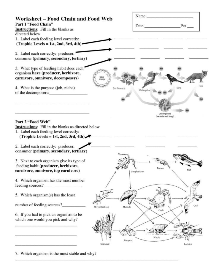 Get 85 Worksheet On Nitrogen Cycle Ideas 12