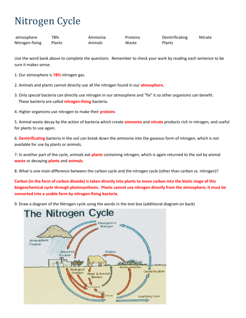 Get 85 Worksheet On Nitrogen Cycle Ideas 2