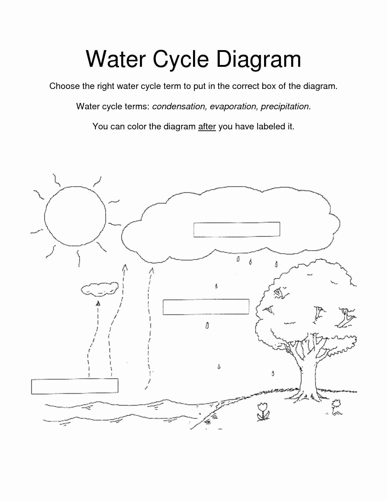 Get 85 Worksheet On Nitrogen Cycle Ideas 28