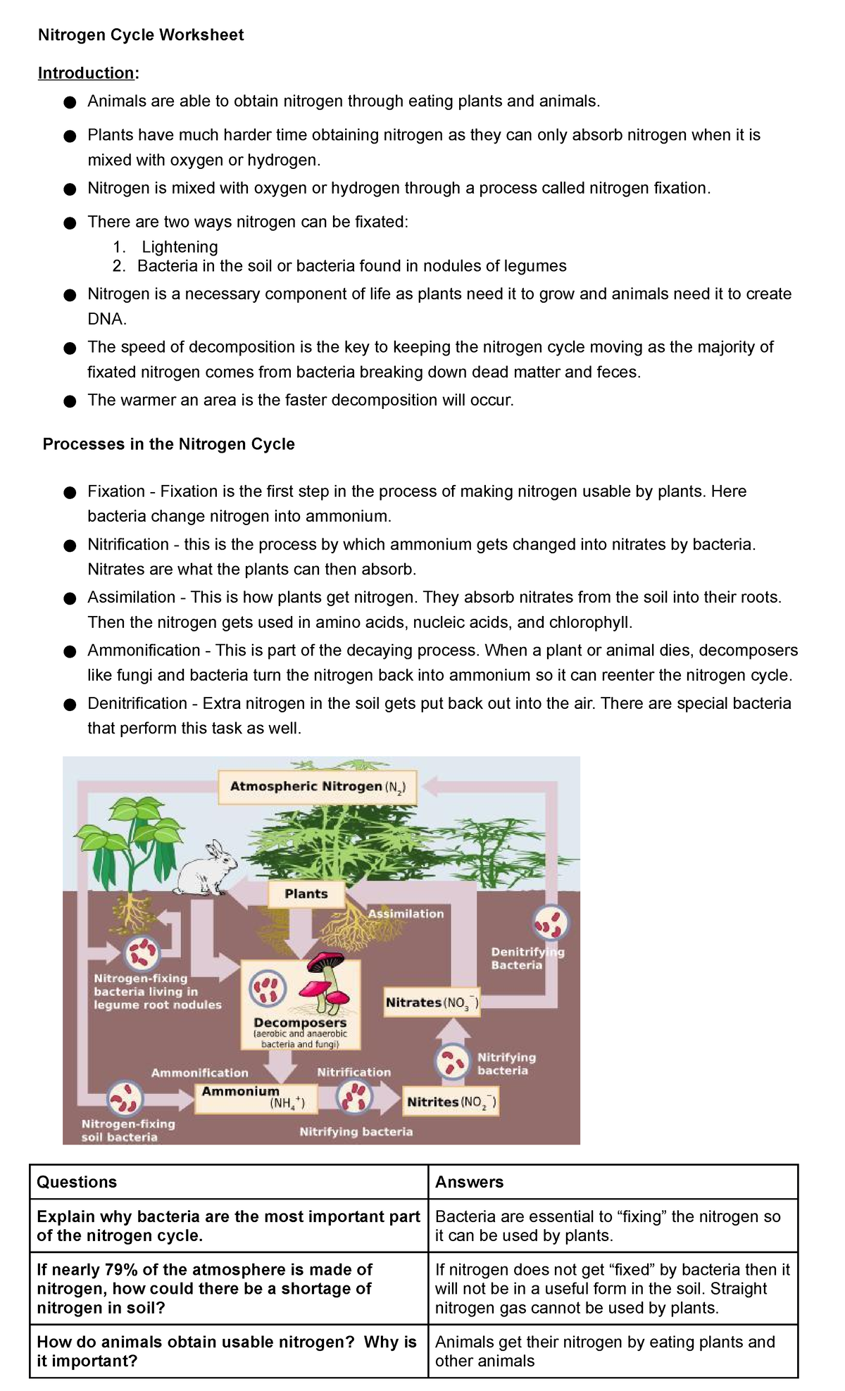 Get 85 Worksheet On Nitrogen Cycle Ideas 3