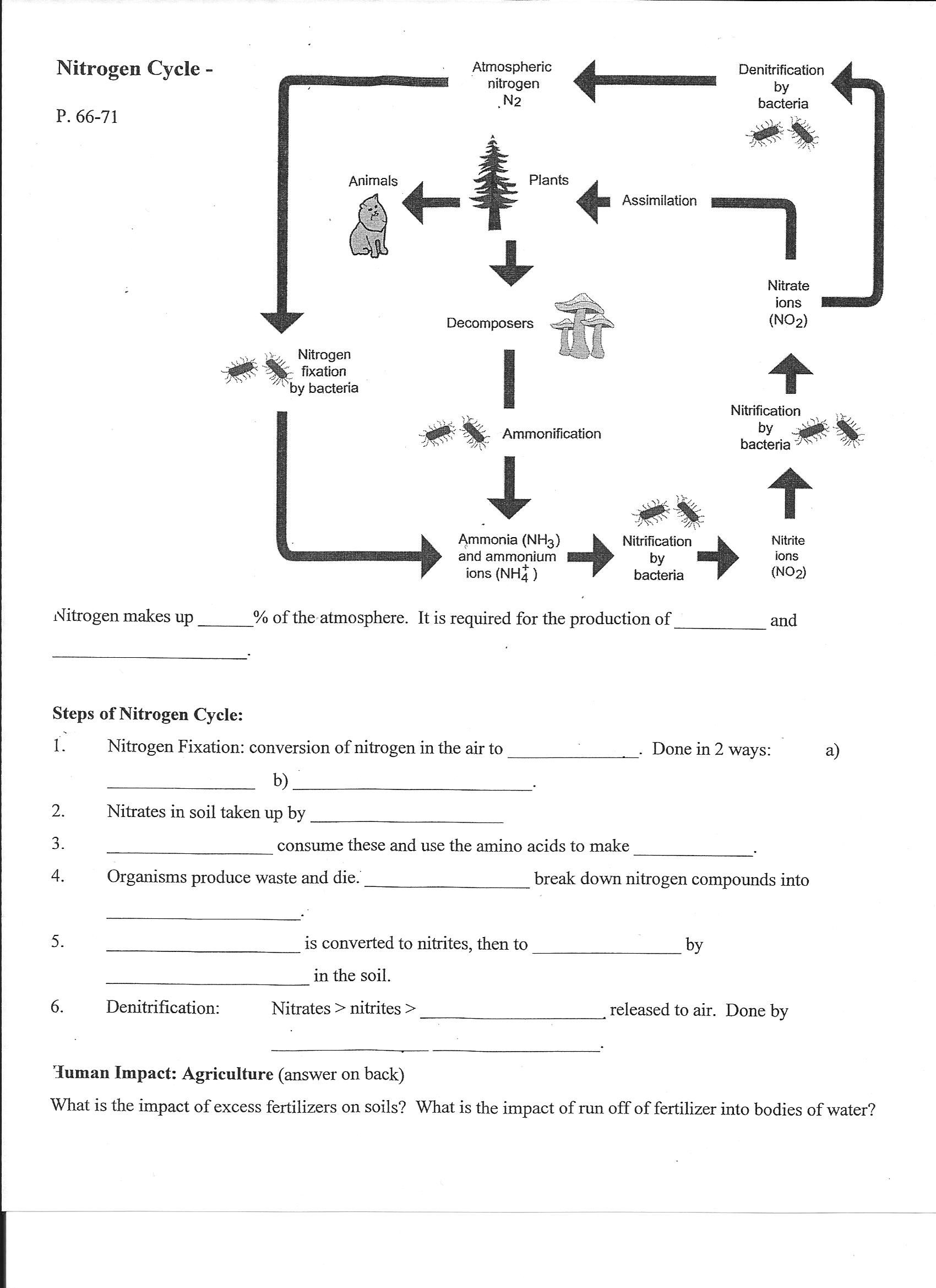 Get 85 Worksheet On Nitrogen Cycle Ideas 33