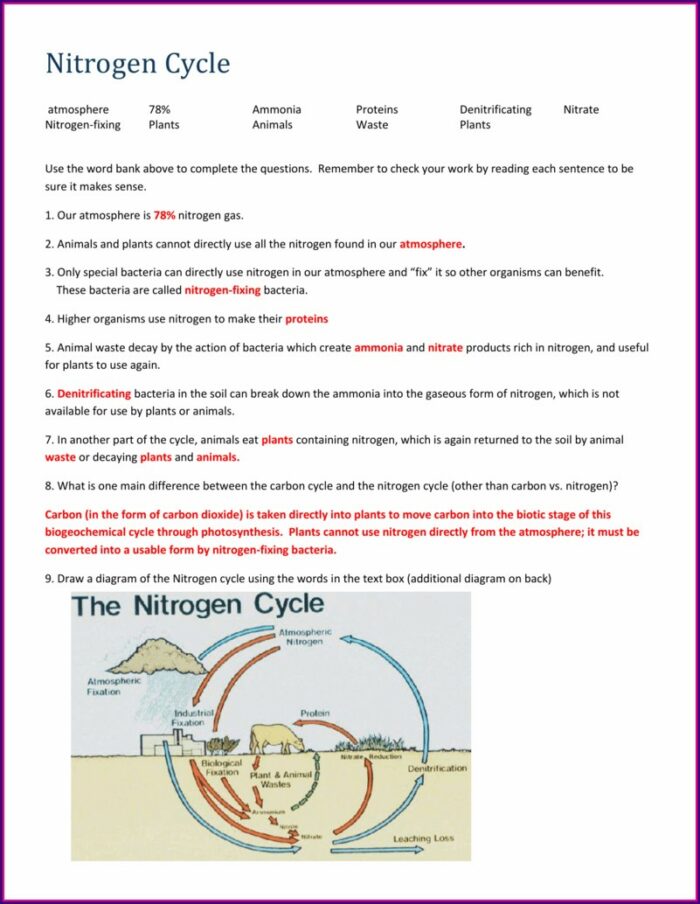 Get 85 Worksheet On Nitrogen Cycle Ideas 34