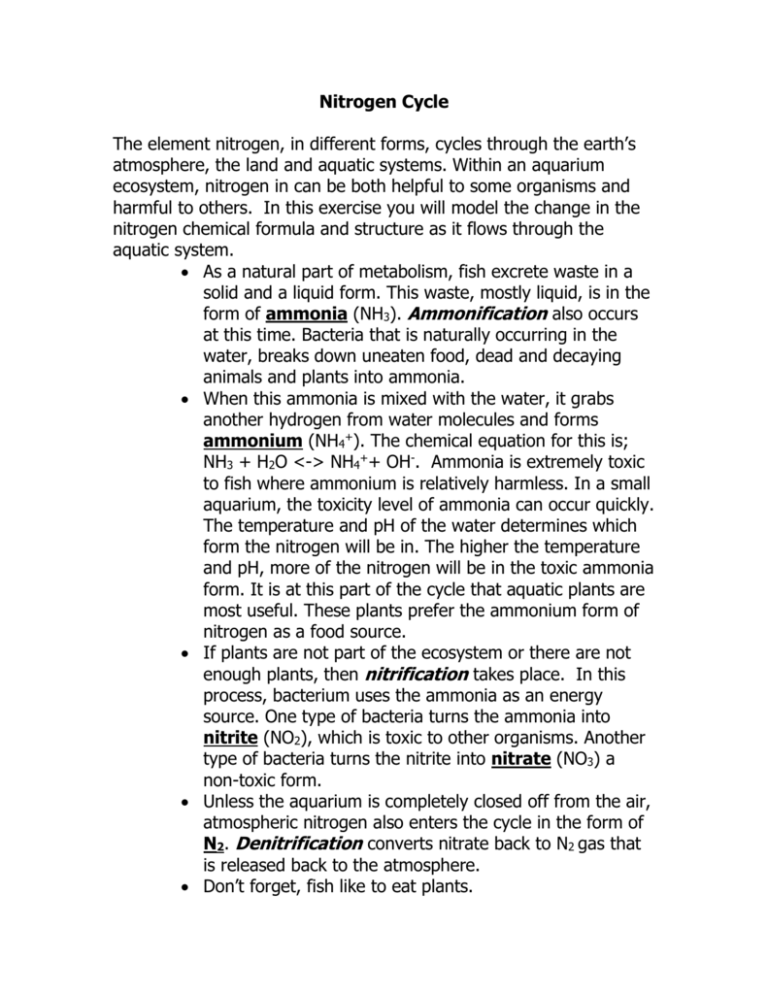 Get 85 Worksheet On Nitrogen Cycle Ideas 36