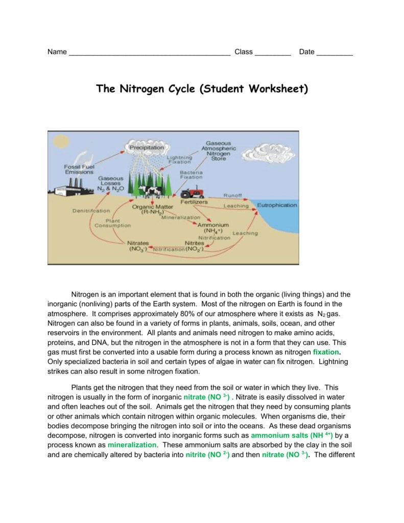 Get 85 Worksheet On Nitrogen Cycle Ideas 39