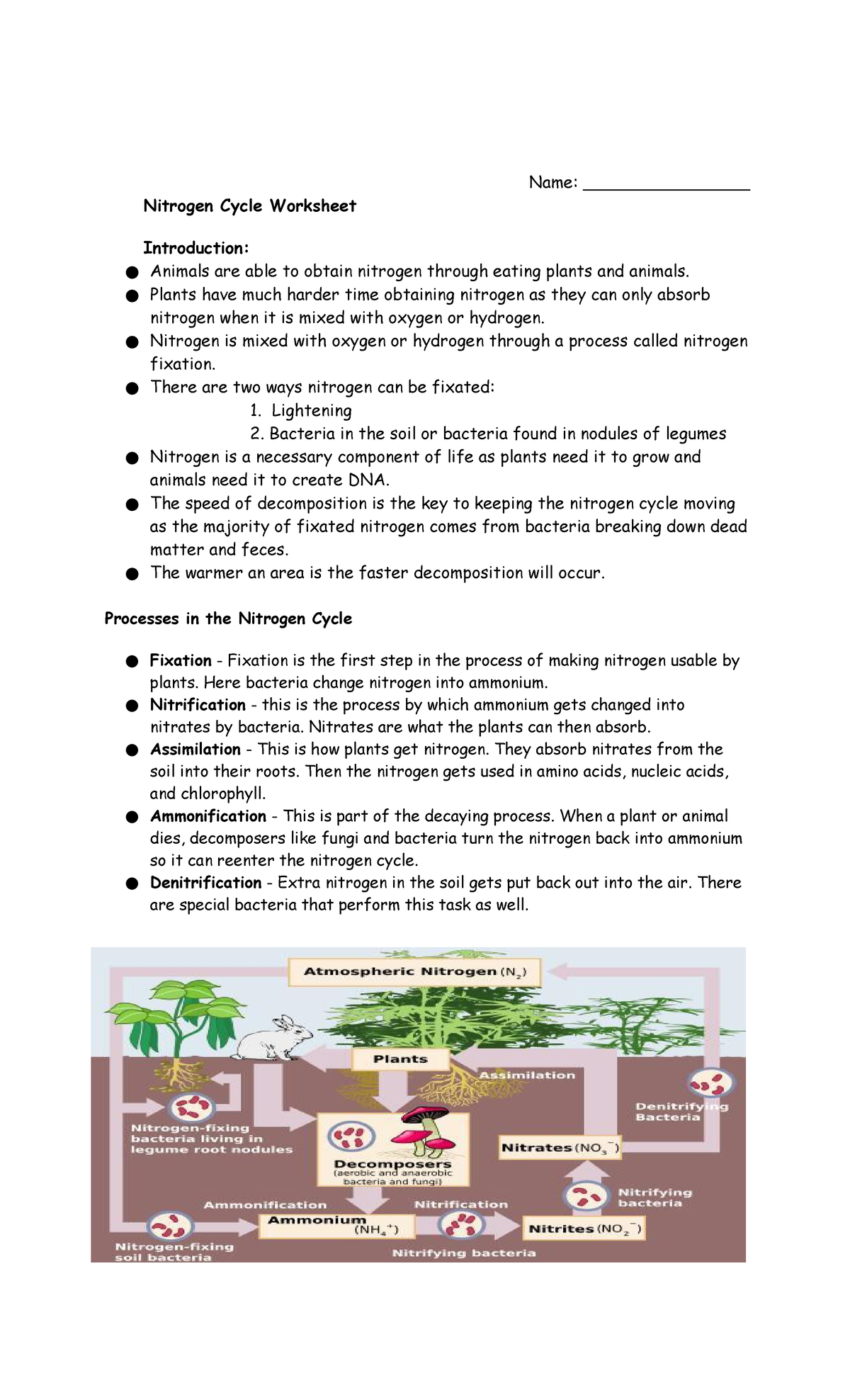 Get 85 Worksheet On Nitrogen Cycle Ideas 40