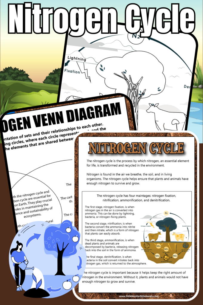 Get 85 Worksheet On Nitrogen Cycle Ideas 41