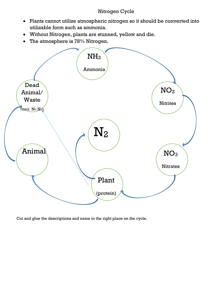 Get 85 Worksheet On Nitrogen Cycle Ideas 44