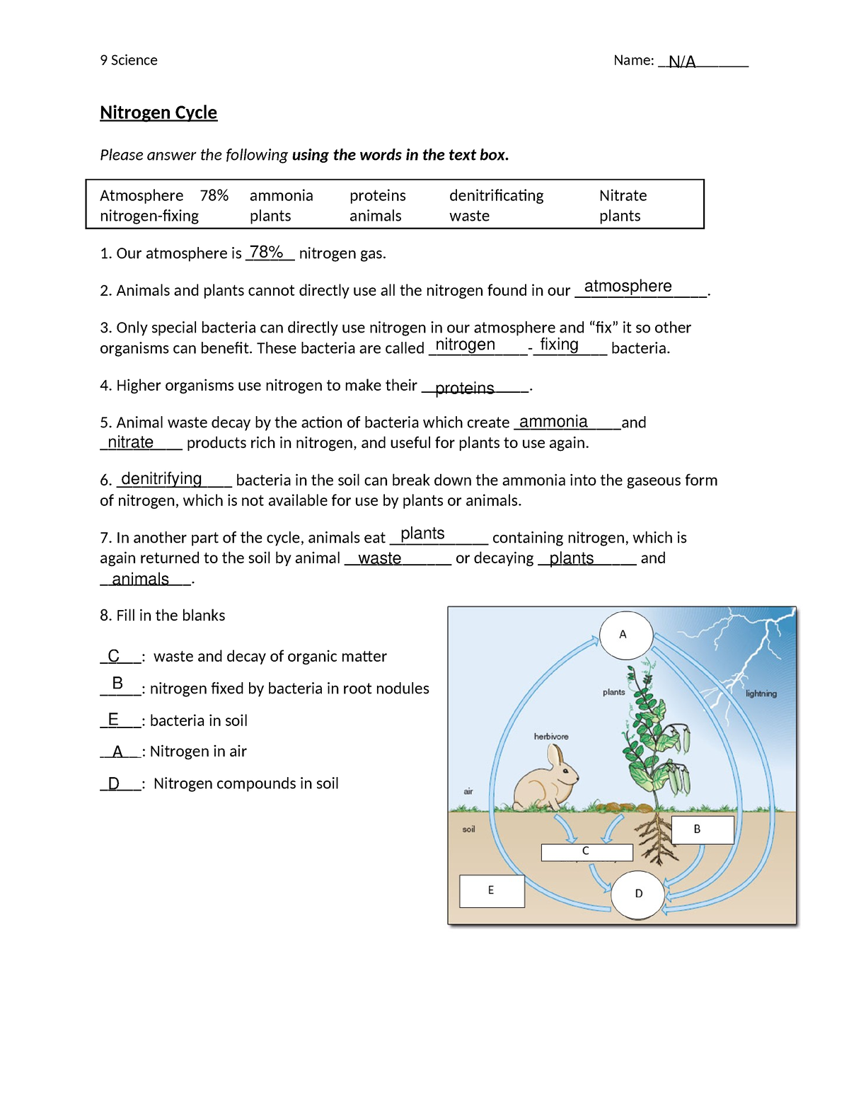 Get 85 Worksheet On Nitrogen Cycle Ideas 49