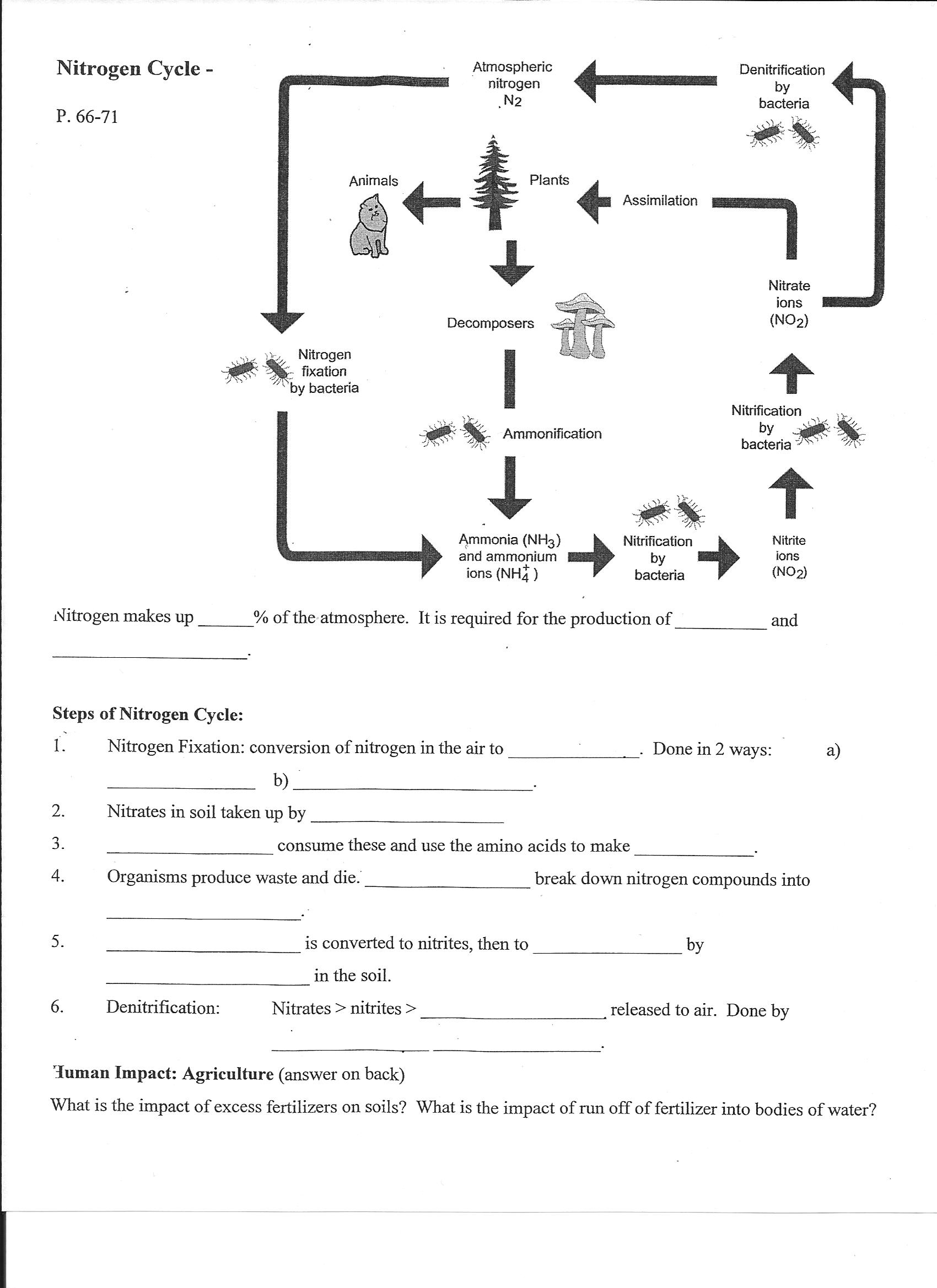 Get 85 Worksheet On Nitrogen Cycle Ideas 50