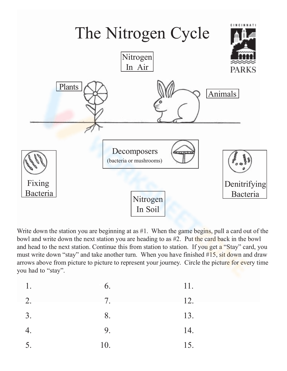 Get 85 Worksheet On Nitrogen Cycle Ideas 52