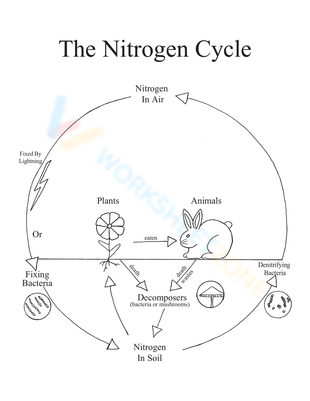 Get 85 Worksheet On Nitrogen Cycle Ideas 54