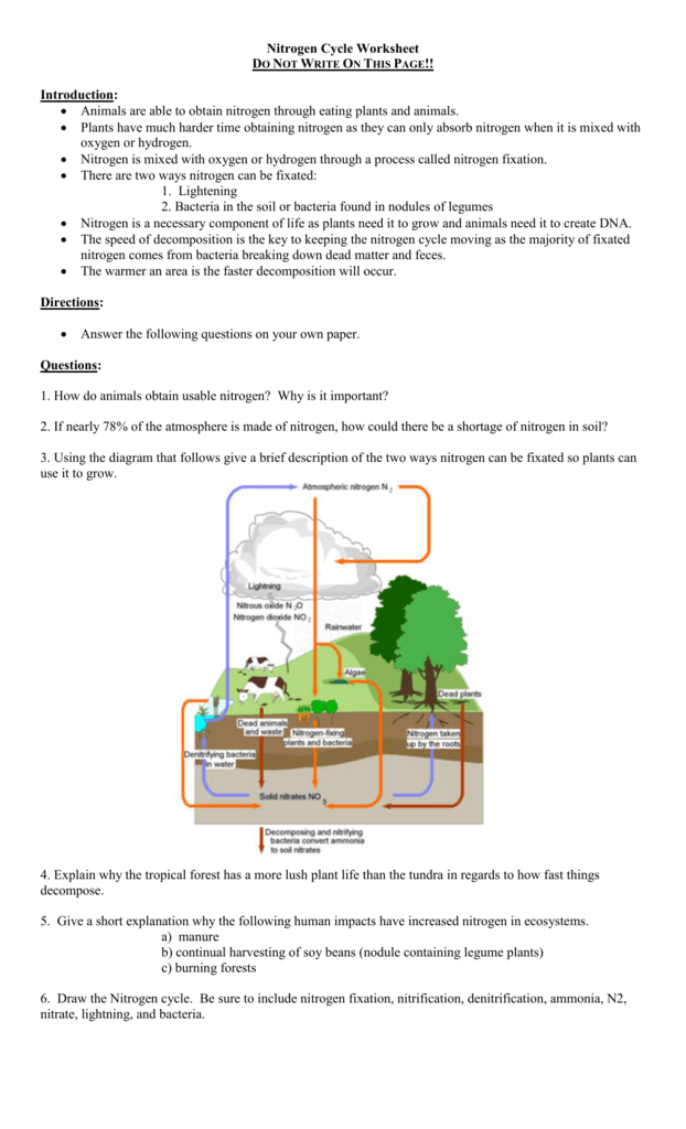 Get 85 Worksheet On Nitrogen Cycle Ideas 57