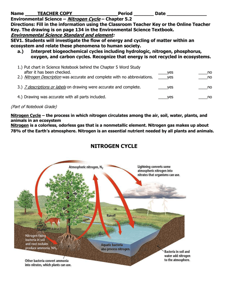 Get 85 Worksheet On Nitrogen Cycle Ideas 60