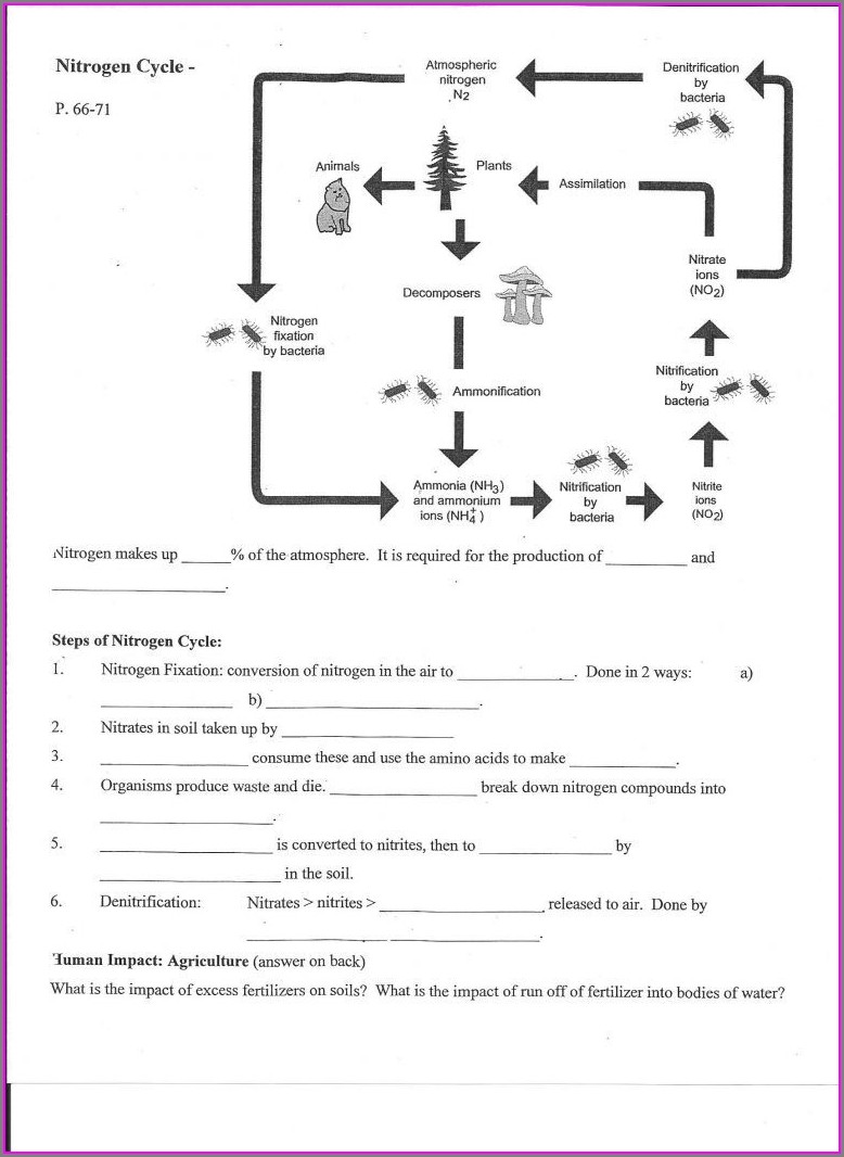 Get 85 Worksheet On Nitrogen Cycle Ideas 61