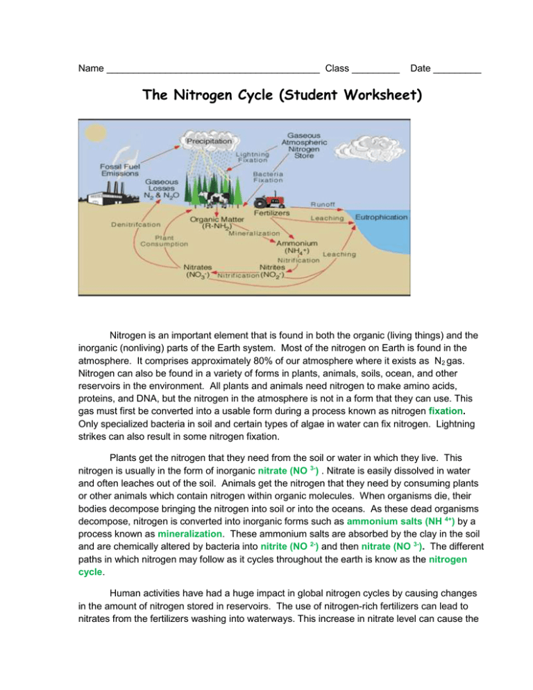 Get 85 Worksheet On Nitrogen Cycle Ideas 72