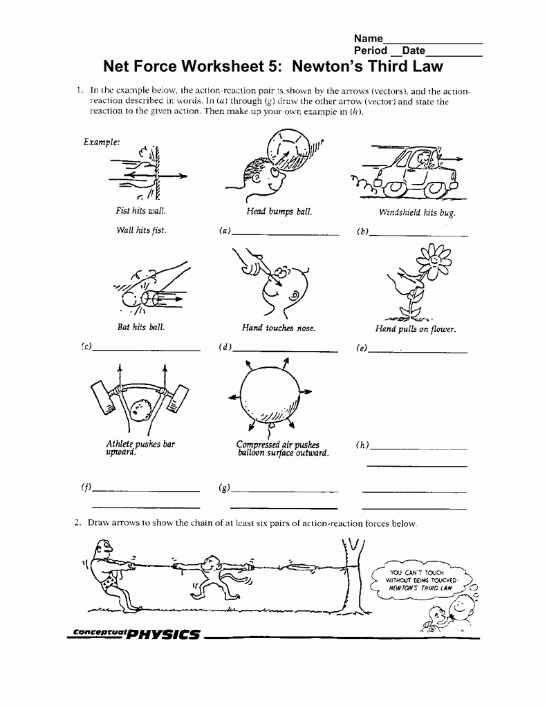 Save 85 Newton First Law Worksheets 36