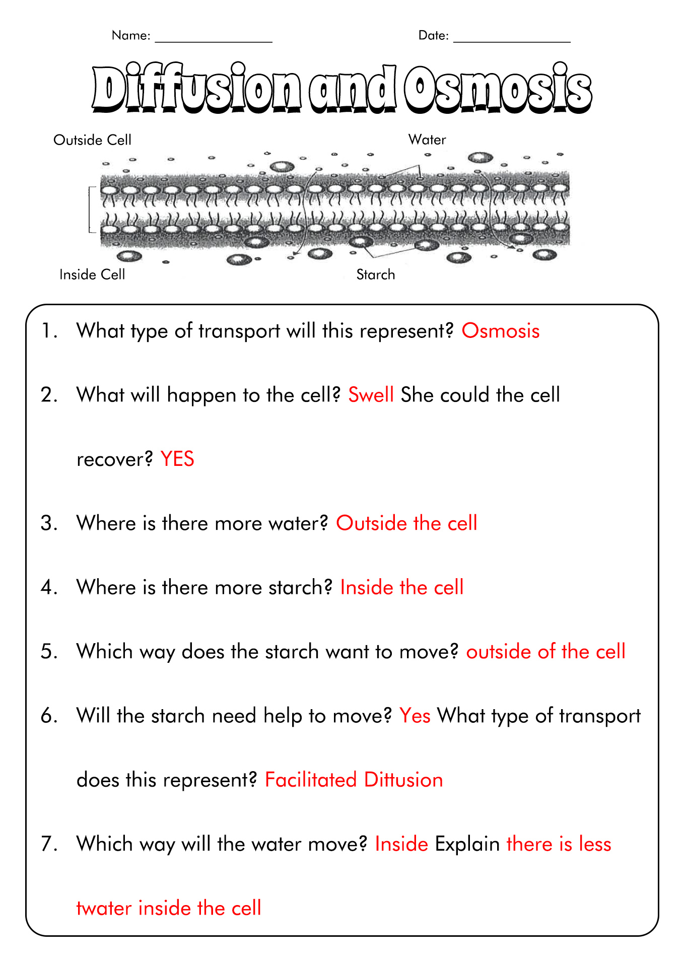 Best 45 Diffusion And Osmosis Worksheets Ideas 21