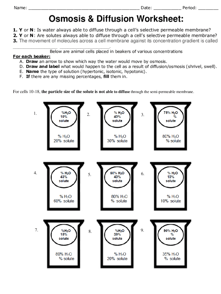 Best 45 Diffusion And Osmosis Worksheets Ideas 24