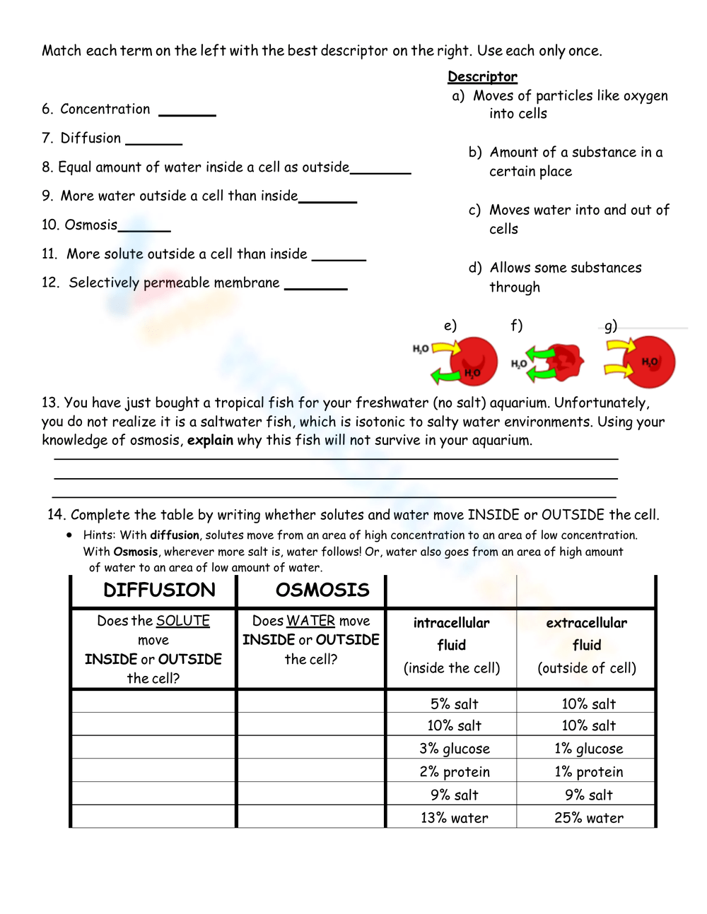 Best 45 Diffusion And Osmosis Worksheets Ideas 26