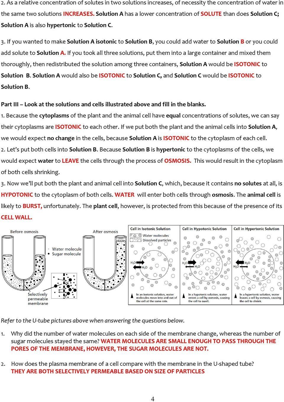 Best 45 Diffusion And Osmosis Worksheets Ideas 27