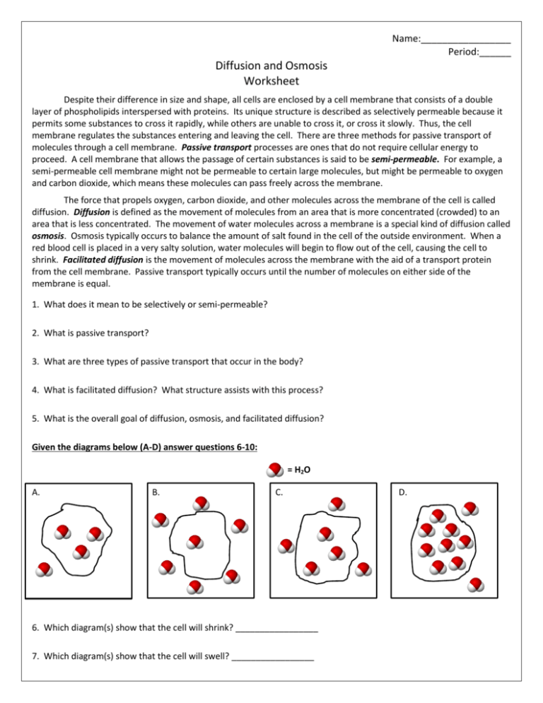 Best 45 Diffusion And Osmosis Worksheets Ideas 3