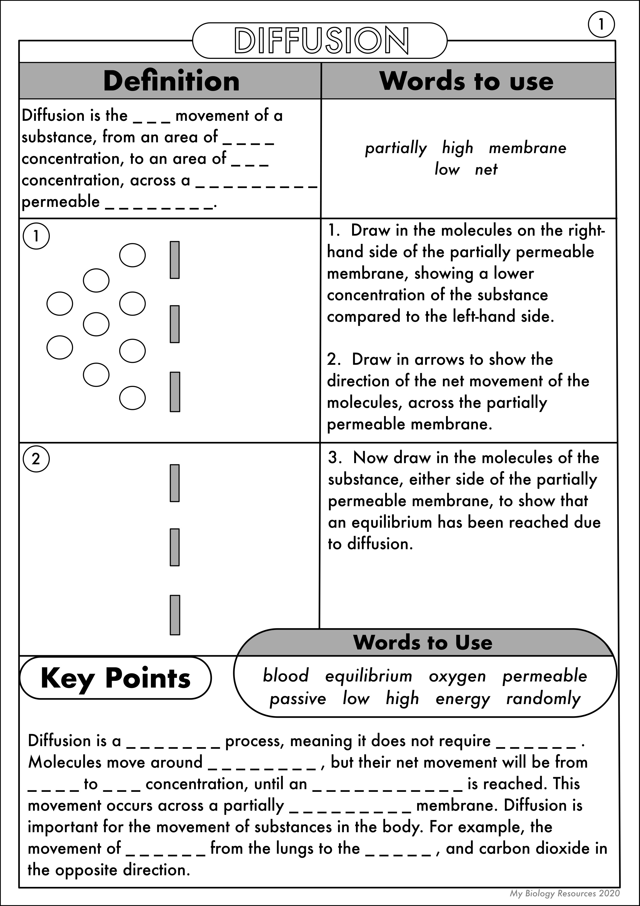 Best 45 Diffusion And Osmosis Worksheets Ideas 30