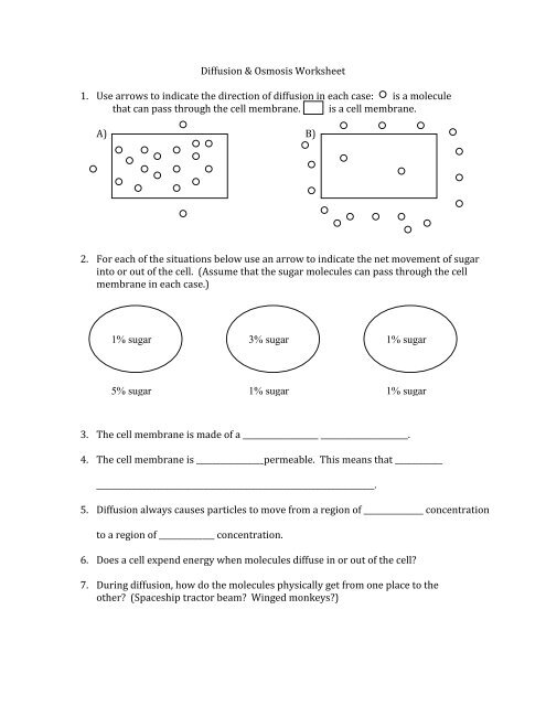 Best 45 Diffusion And Osmosis Worksheets Ideas 31