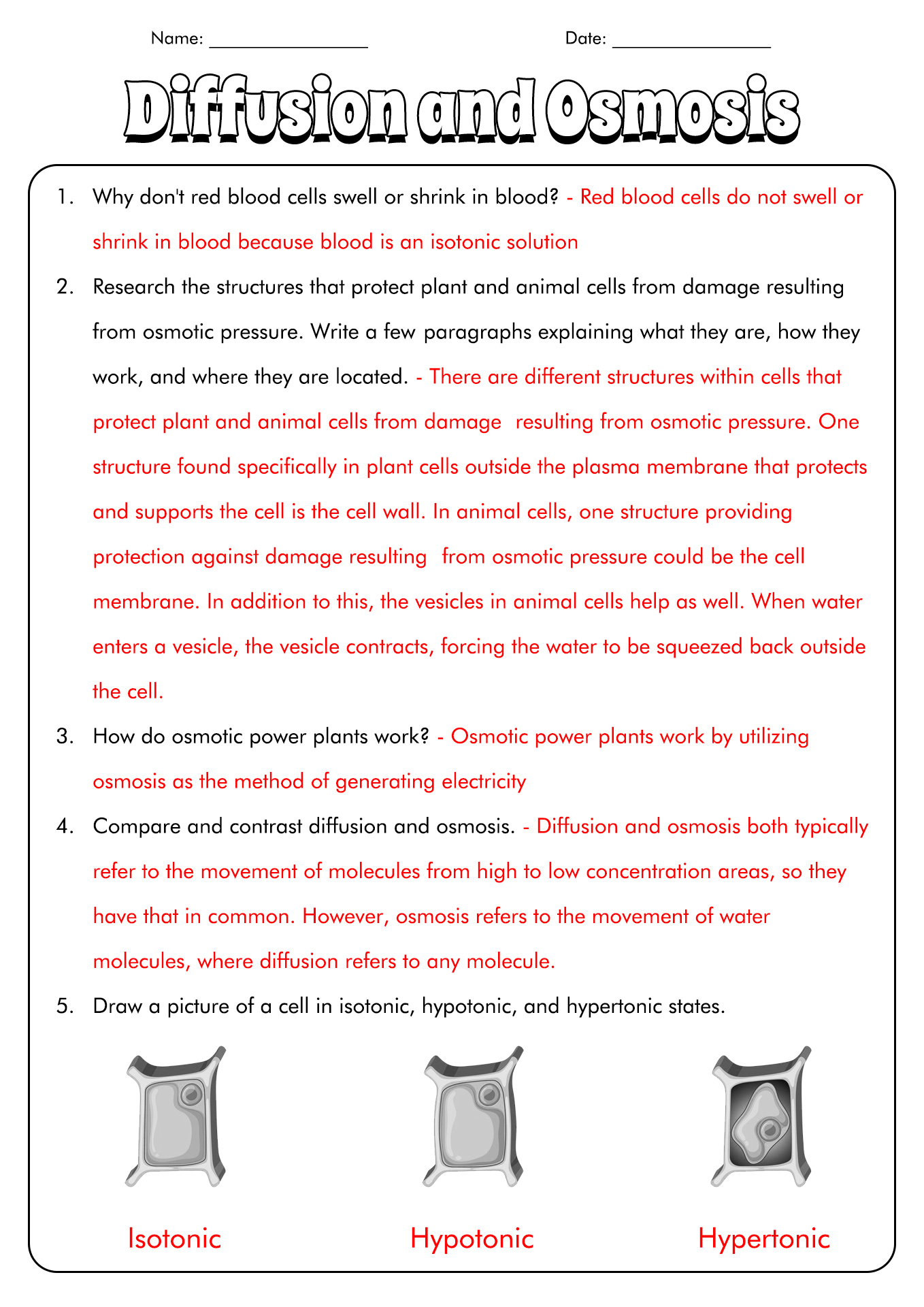 Best 45 Diffusion And Osmosis Worksheets Ideas 4