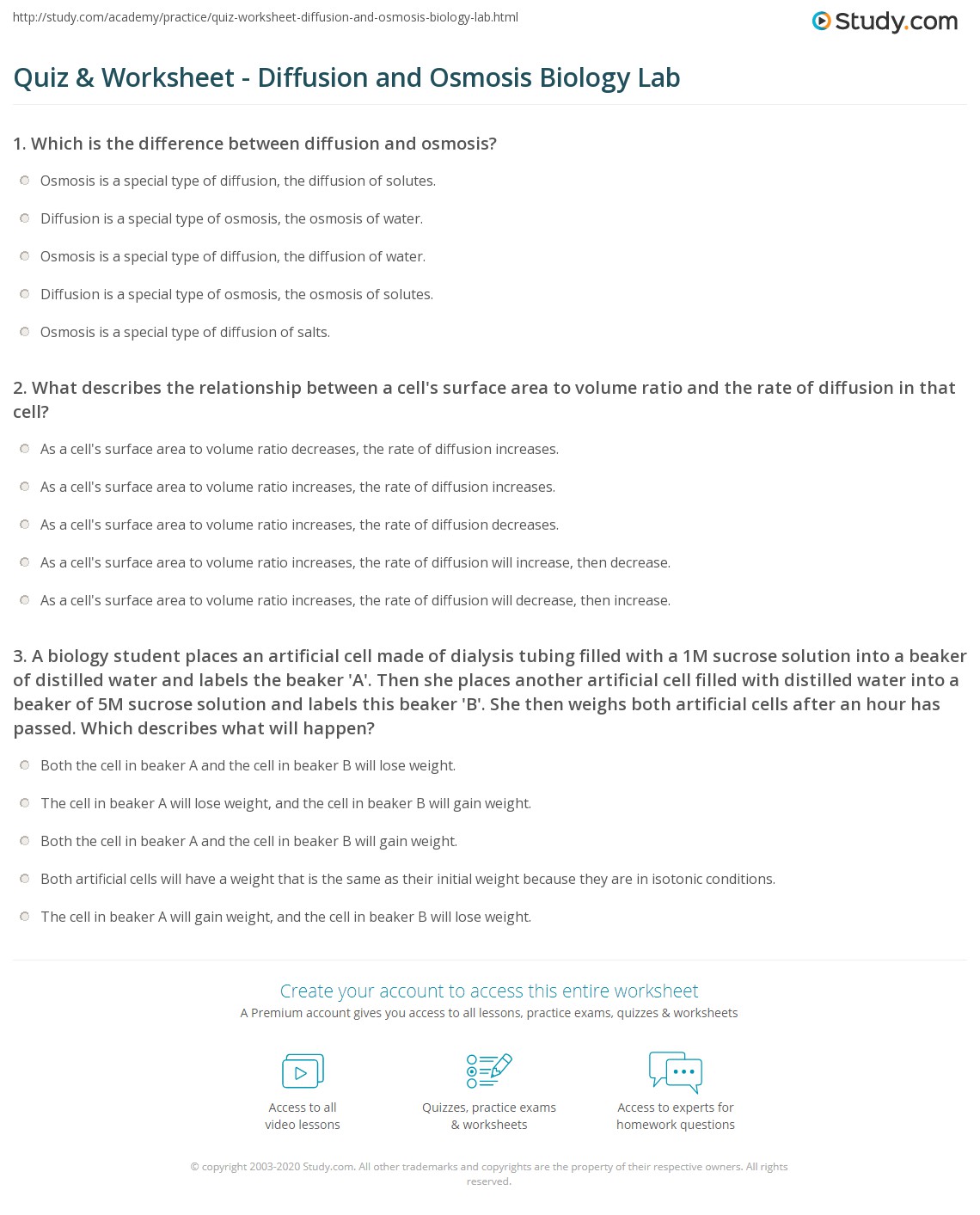 Best 45 Diffusion And Osmosis Worksheets Ideas 5