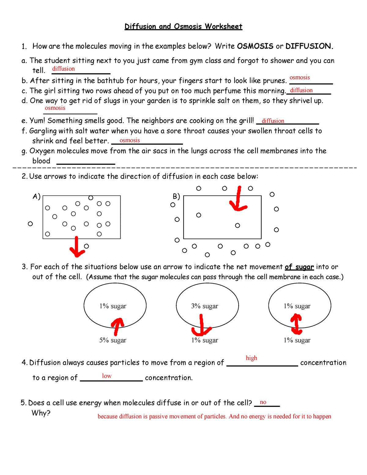 Best 45 Diffusion And Osmosis Worksheets Ideas 6