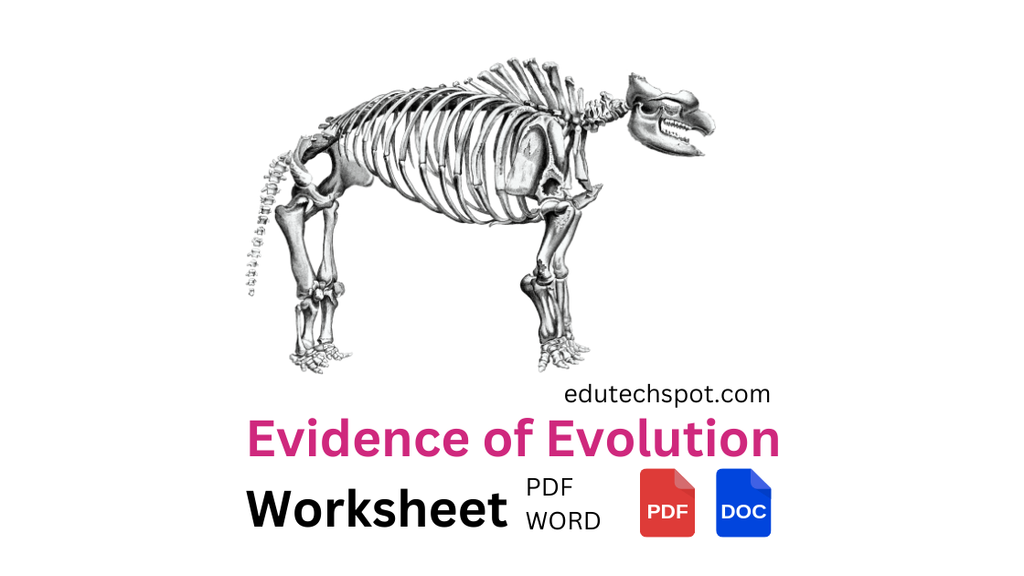 Best 45 Evidence Of Evolution Worksheets Ideas 16