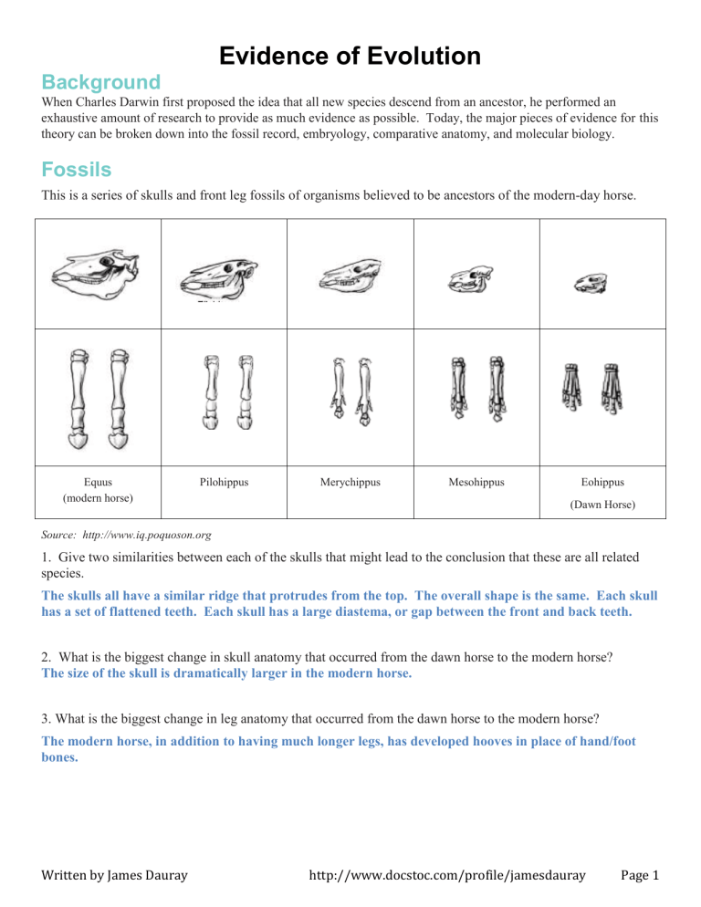 Best 45 Evidence Of Evolution Worksheets Ideas 23