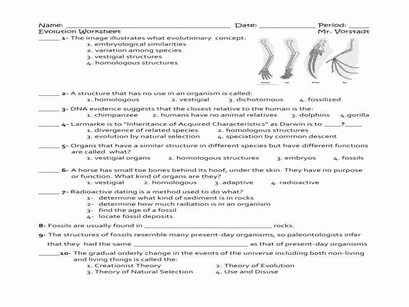 Best 45 Evidence Of Evolution Worksheets Ideas 24