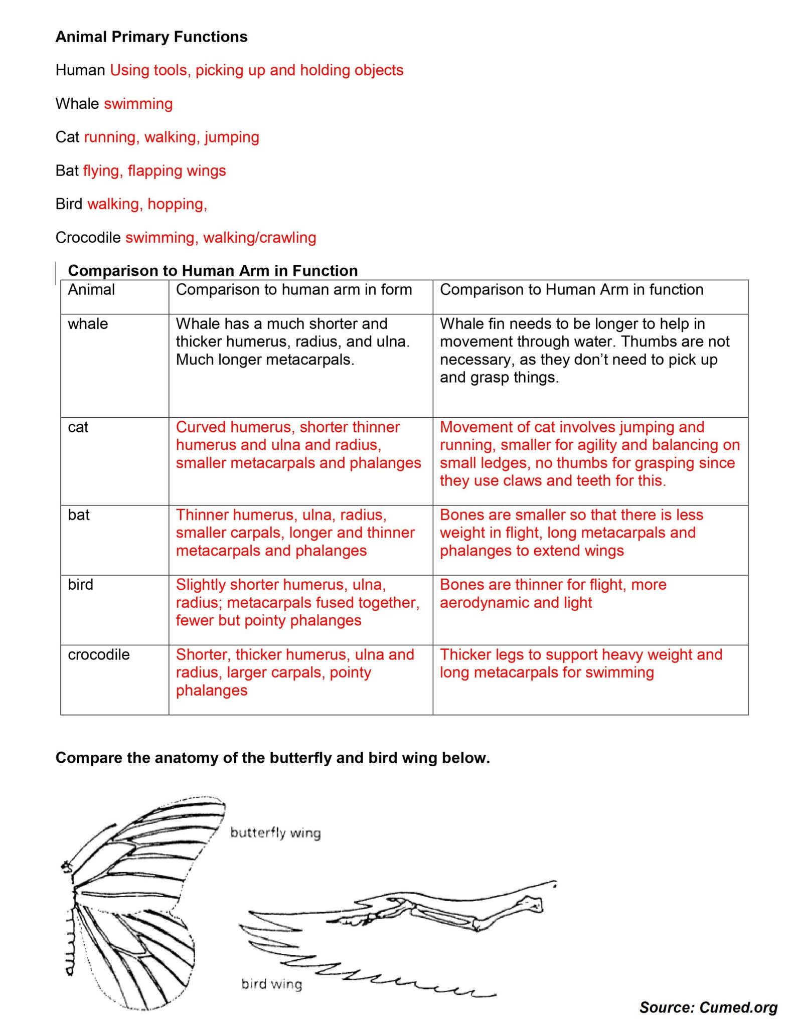 Best 45 Evidence Of Evolution Worksheets Ideas 26